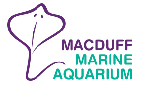 Macduff Marine Aquarium 