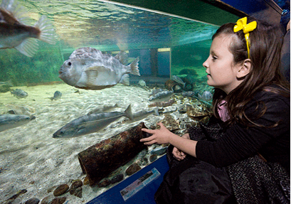 Macduff Marine Aquarium 