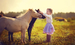 Childrens Pony Fun Days 