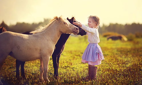 Childrens Pony Fun Days 
