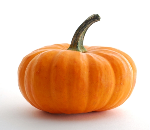 Pumpkin puree