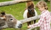 Tiggywinkles Wildlife Hospital Visitors