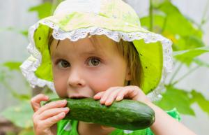 Exposure, exposure, exposure: Coping with your childs food neophobia