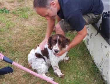 Eternally grateful: Scampi the spaniel reunited with owners five years after he was stolen 