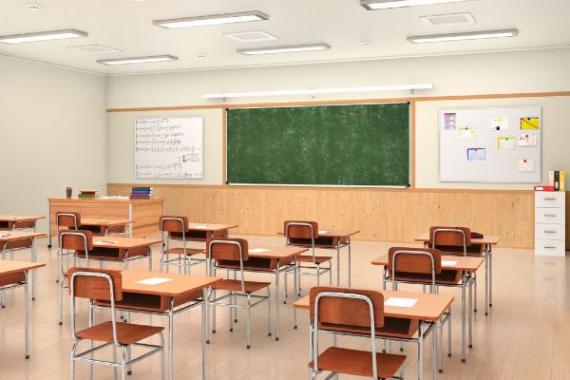 ATTENTION: Schools close due to venomous spider infestation in UK