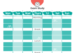 Exam Study Timetable