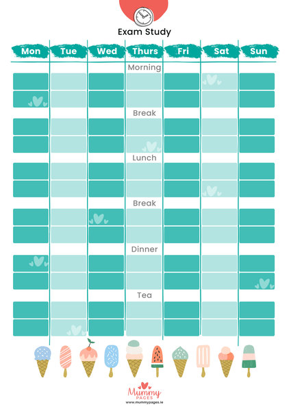 Exam Study Timetable