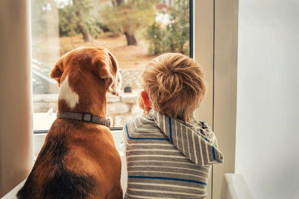 A great reminder: RSPCAs Kindness at Christmas video has us in tears