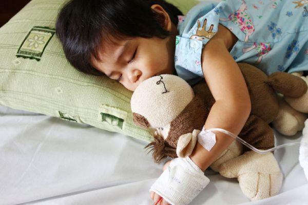Parents urged to sign their children up for organ donation as numbers dwindle