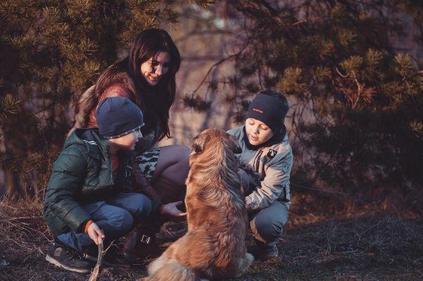 A bit mad: Why we are adding to our family