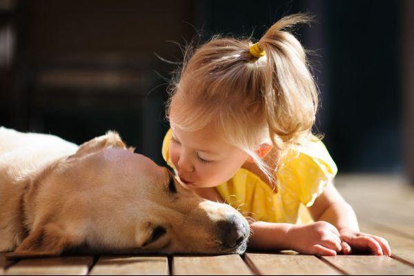 We all prefer our dogs to our brothers and sisters, study finds