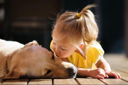 We all prefer our dogs to our brothers and sisters, study finds