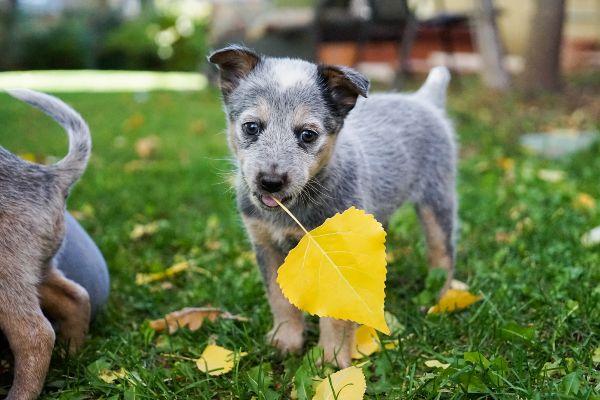 6 autumnal activities that every family should make time for