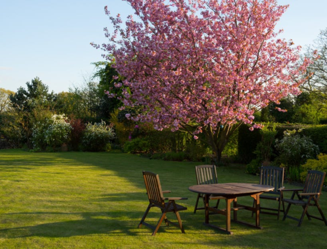 How to level-up to an even lawn