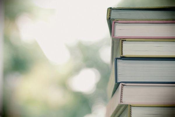 Review: The Shelf is an eye-opening story about  our obsession with settling down