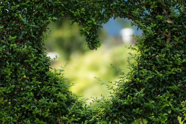 The top 10 ways to live a more eco-friendly life at home