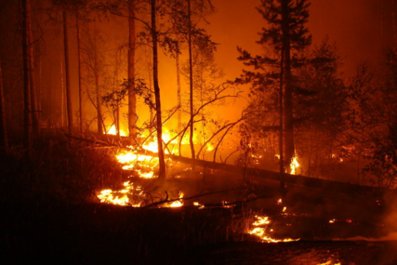 People want Gender Reveal Parties to be banned after one starts a forest-fire
