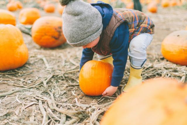 Great ideas to make the most of Halloween this year 