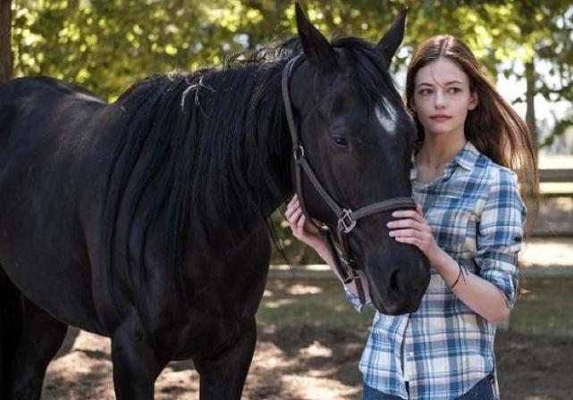 Watch: Disney+ release trailer for new Black Beauty remake starring Kate Winslet