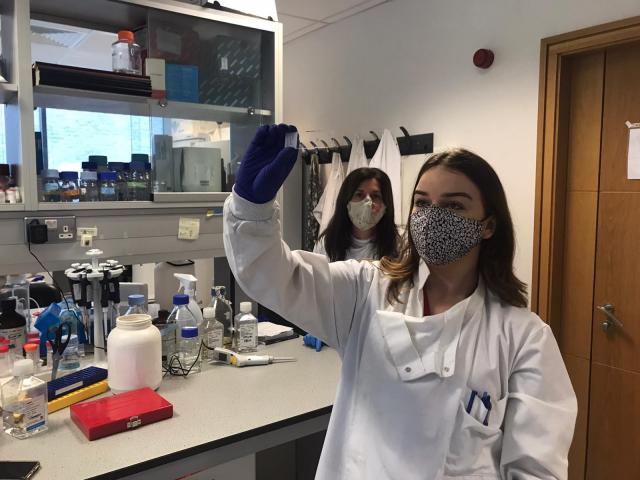 Funding support announced for research into Multiple Myeloma
