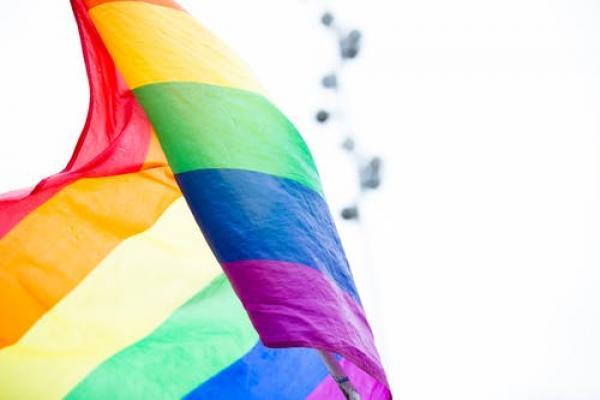Only one parent can be recognised as a legal parent in the majority of LGBT+ families
