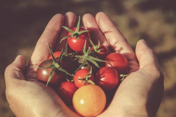 Light summer soup recipes: Fresh tomato, balsamic and basil 