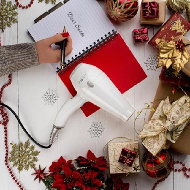 Dear Santa, please may I have a personalised LanaiBLO hairdryer?