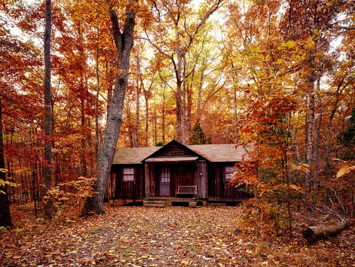 The benefits of log cabins